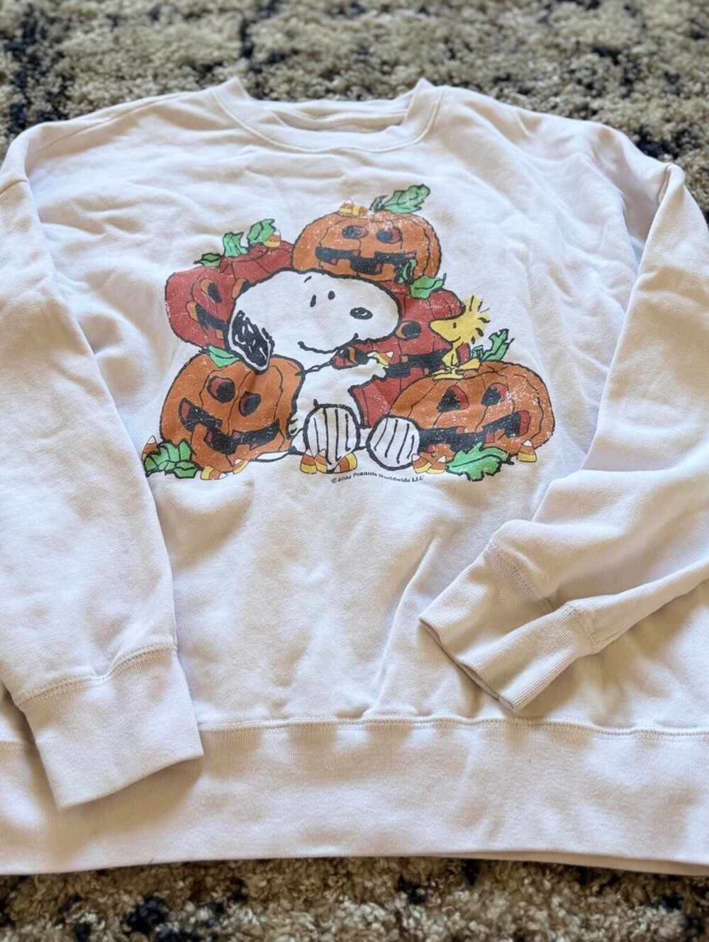 Abercrombie Kids Snoopy Halloween Sweatshirt 13/14 Cream